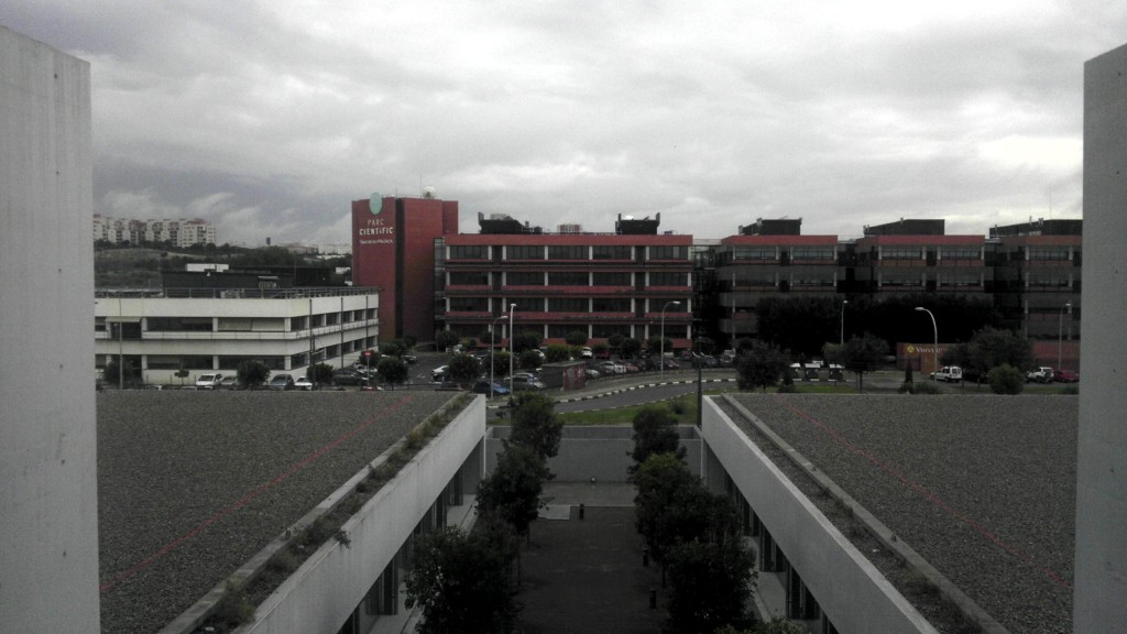 2014-11-11 14.54.30